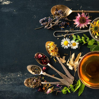 Herbs 