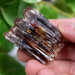 Amber calcite crystal