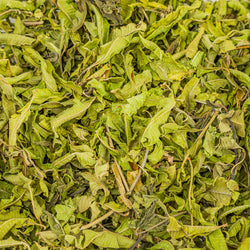 Louisa Ηerb/ lemon verbena