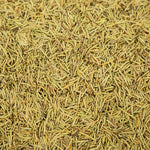 Rosemary Herb