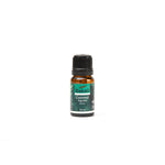 Coconut Essential Oil 10ml