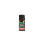 Cinnamon Essential Oil 10ml