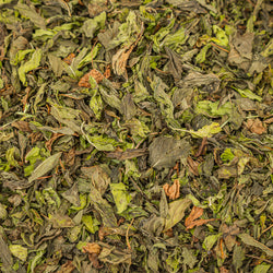 Spearmint Herb