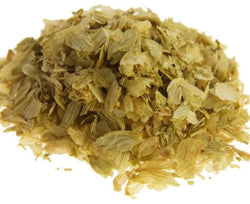 Λυκίσκος/Humulus lupulus