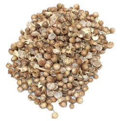 Coriander